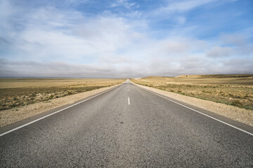 Fototapeta na wymiar Asphalt highway in the middle of the Kazakh steppe and desert, highway with markings in spring