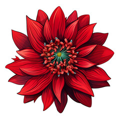 isolated illustration of red exotic flower. Created with Generative AI