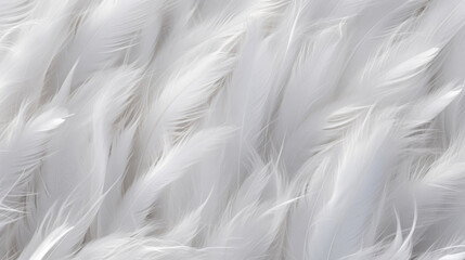Texture of a white and gray feather with fine barbs, showcasing a feathery and wispy texture. The barbs seem to float and move with the slightest breeze.