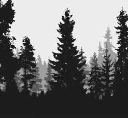 Spruce tree silhouette. Pine tree silhouette