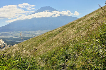 道志山塊の高座山　夏の草原　ススキ野原に富士山
