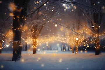 Fotobehang Christmas warm lights in the night snowy park © GraphiteCat