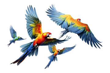 Parrots in Vibrant Flight on isolated background