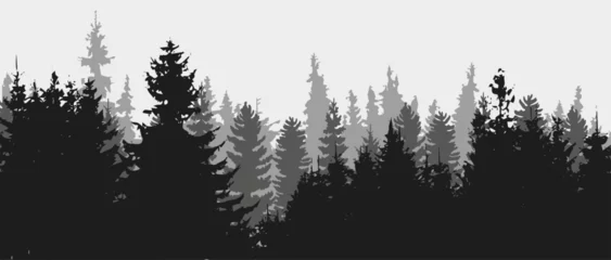 Foto op Plexiglas Spruce tree silhouette. Pine tree silhouette © Artak