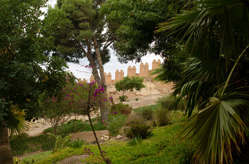 trees in the garden