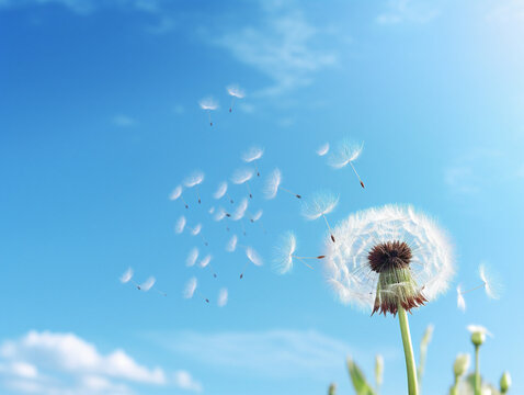 A close-up of a dandelion with fluffy seeds being carried away by the wind.