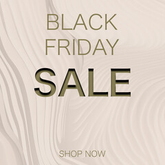Black Friday Sale banner. Gold letters on the pink background. 
