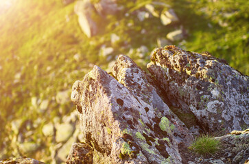 Carpathian mountain landscape
