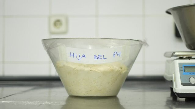 Old sourdough resting on a table in a bakery with its name "Son of a pH"