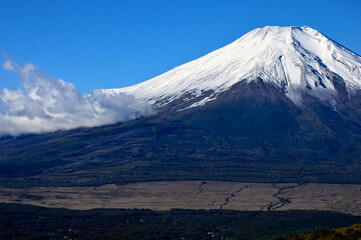 Fototapeta premium 道志山塊の平尾山山頂より 雪化粧した富士山 