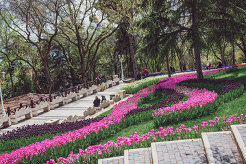 Emirgan Park, Istanbul