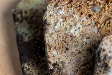 Black rye bread covered with black mold