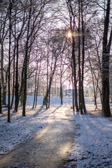 A winter landscape with a footpath in a forest with snow in the sun light