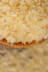 a large amount of uncooked fresh polished rice