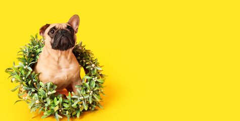 Cute dog with Christmas wreath on yellow background with space for text