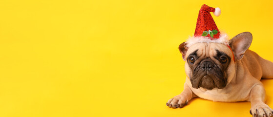 Cute dog in Santa hat on yellow background with space for text