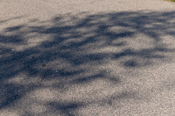 asphalting a new highway with black new asphalt