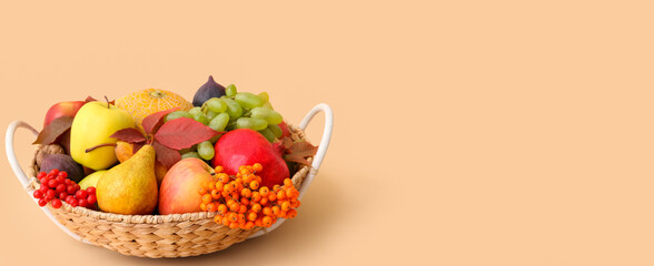 Harvested fruits in wicker basket on beige background with space for text