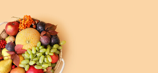 Harvested fruits in wicker basket on beige background with space for text, top view