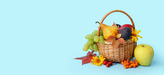 Harvested fruits in wicker basket on light blue background with space for text