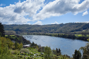 river calle calle, mountains and forests in valdivia, chile