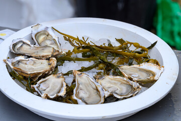 Fresh french Gillardeau oysters molluscs shucked on ice with lemon ready to eat close up