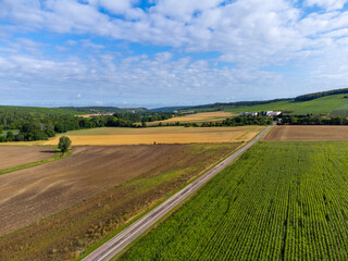 Fototapeta na wymiar Aerial view on hills with vineyards near Urville, green champagne vineyards in Cote des Bar, Aube, south of Champange, France