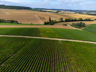 Aerial view on hills with vineyards near Urville, green champagne vineyards in Cote des Bar, Aube, south of Champange, France