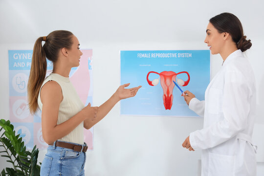 Female gynecologist showing picture of uterus to patient in clinic