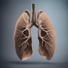 Lungs anatomy on gray background. 3D rendering and illustration. - obrazy, fototapety, plakaty