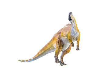 Parasaurolophus  dinosaur isolated background