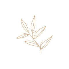 Minimalist Feminine Botanical Flower Beauty Line Plant Logo, Design Vector illustration
