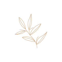 Minimalist Feminine Botanical Flower Beauty Line Plant Logo, Design Vector illustration