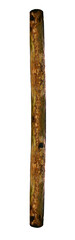 Wooden vertical wood log, on a transparent background