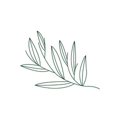 Fototapeta na wymiar Minimalist Feminine Botanical Flower Beauty Line Plant Logo, Design Vector illustration