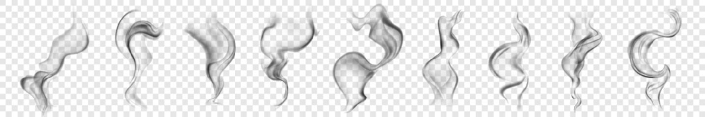 Set of several realistic transparent gray smokes or steam. For use on light background. Transparency only in vector format