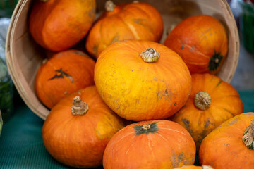A straw bucket or basket filled with a bunch of vibrant orange color ripe organic persimmons. The round barrel is tan colored and the fruit on the table is for sale at a farmers market. 