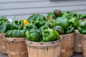 Multiple bunches of vibrant green bell peppers stacked in round straw containers for sale at a...
