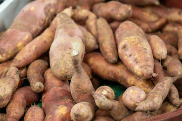 A basket of tuber sweet potatoes or yams for sale at a farmers' market. The bulk container of harvested yellow skinned raw whole root vegetables. The spuds have soil on the skin of the vegetable. 