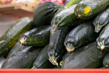 A stack of dark green organic zucchini or cucurbita pepo for sale at a farmers' market. The autumn harvest vegetable is long, thin, soft summer marrow. Its skin is fresh, shiny, smooth, and taunt. 