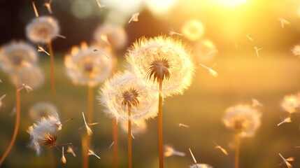 Illustration of delicate dandelion seeds being blown away, backlit by warm, golden sunlight, suitable for themes of change, freedom, and softness. (Generative AI)