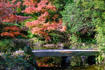赤く染まる日本庭園