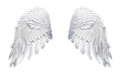Obraz premium White angel wings isolated cutout on transparent