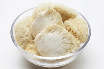 Fresh lion's mane mushroom on white background. (Yamabushitake Mushroom)