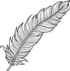Outline Feather for coloring page 