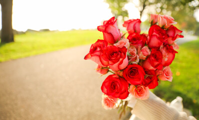red rose and flowers bloom against a soft, blurred nature backdrop, showcasing the beauty of love and passion in a serene garden setting