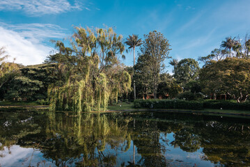 Fototapeta na wymiar Bogotá, Colombia. May 11, 2023: Bogotá Botanical Garden José Celestino Mutis with lake landscape and blue sky.