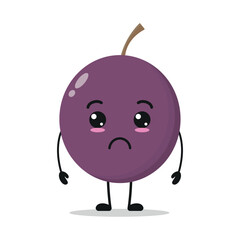 Cute sad passion fruit cartoon. Funny unhappy fruit cartoon emoticon in flat style. closet vector illustration