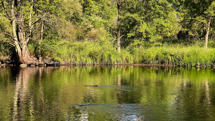 Little Wolf River in Symco Wisconsin on a Summer Day