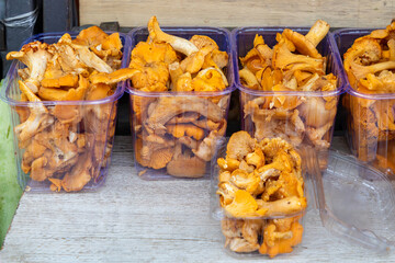 Chanterelle mushrooms in crates on market